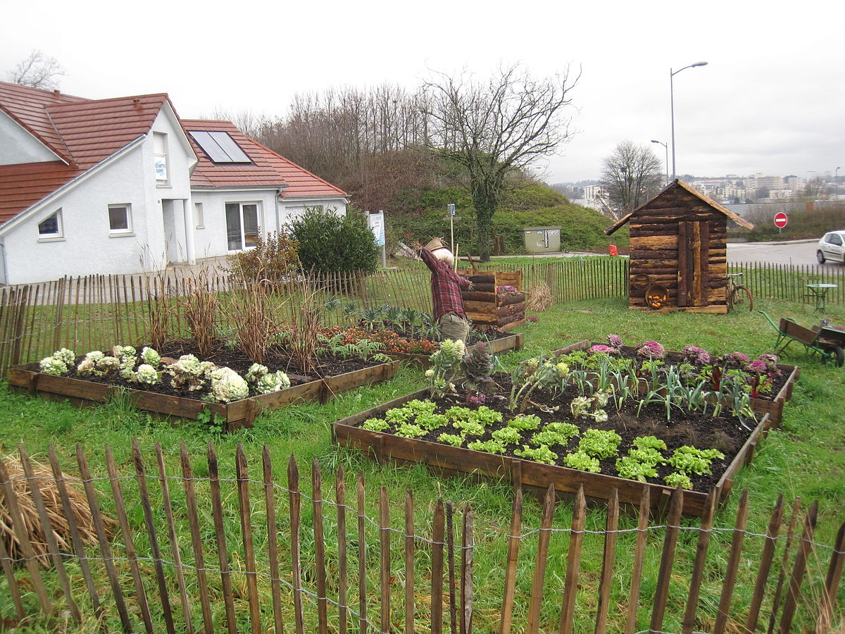 Augmenter la production de votre potager pour faire des économies : c’est possible !