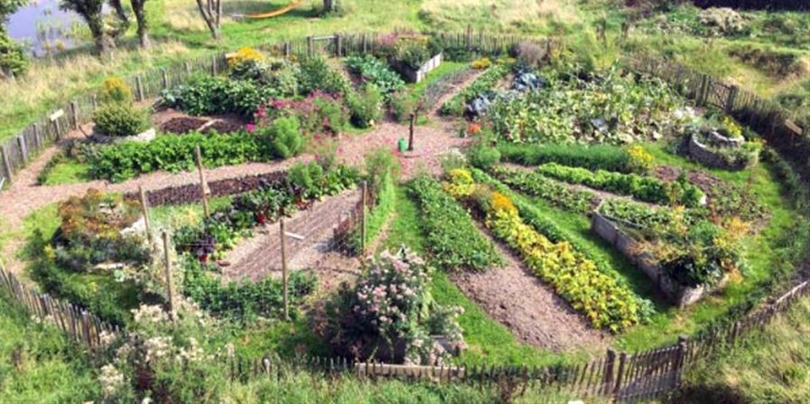 C’est quoi un potager en permaculture ?